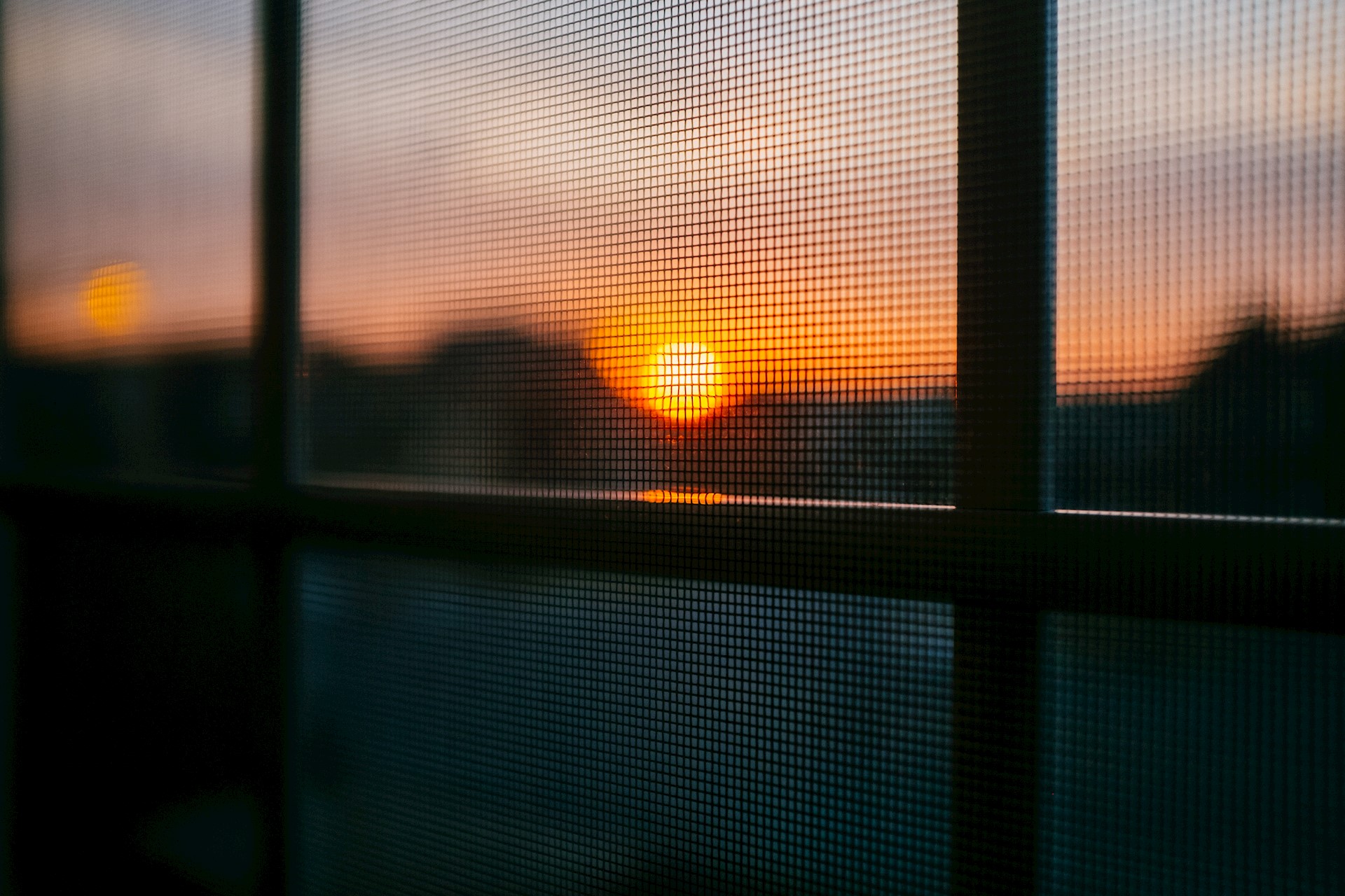 landscape through netted windows