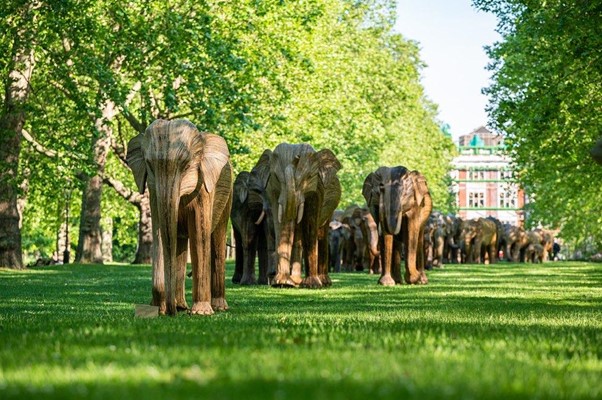 The Coexistence Exhibition And Carbon Emissions 3