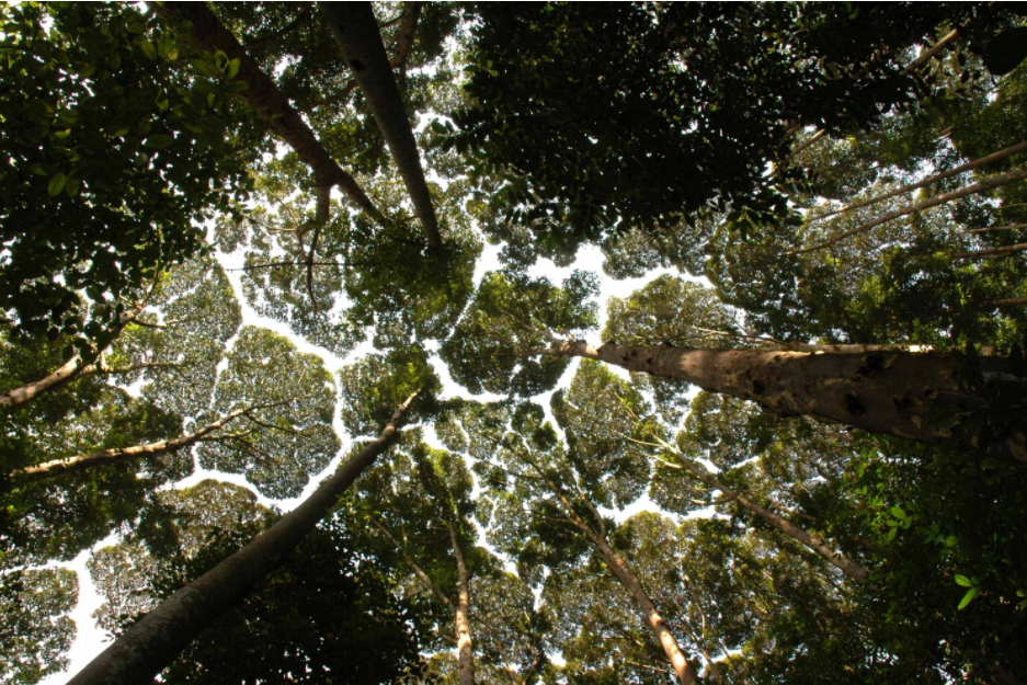 World Environmental Health Day 2021