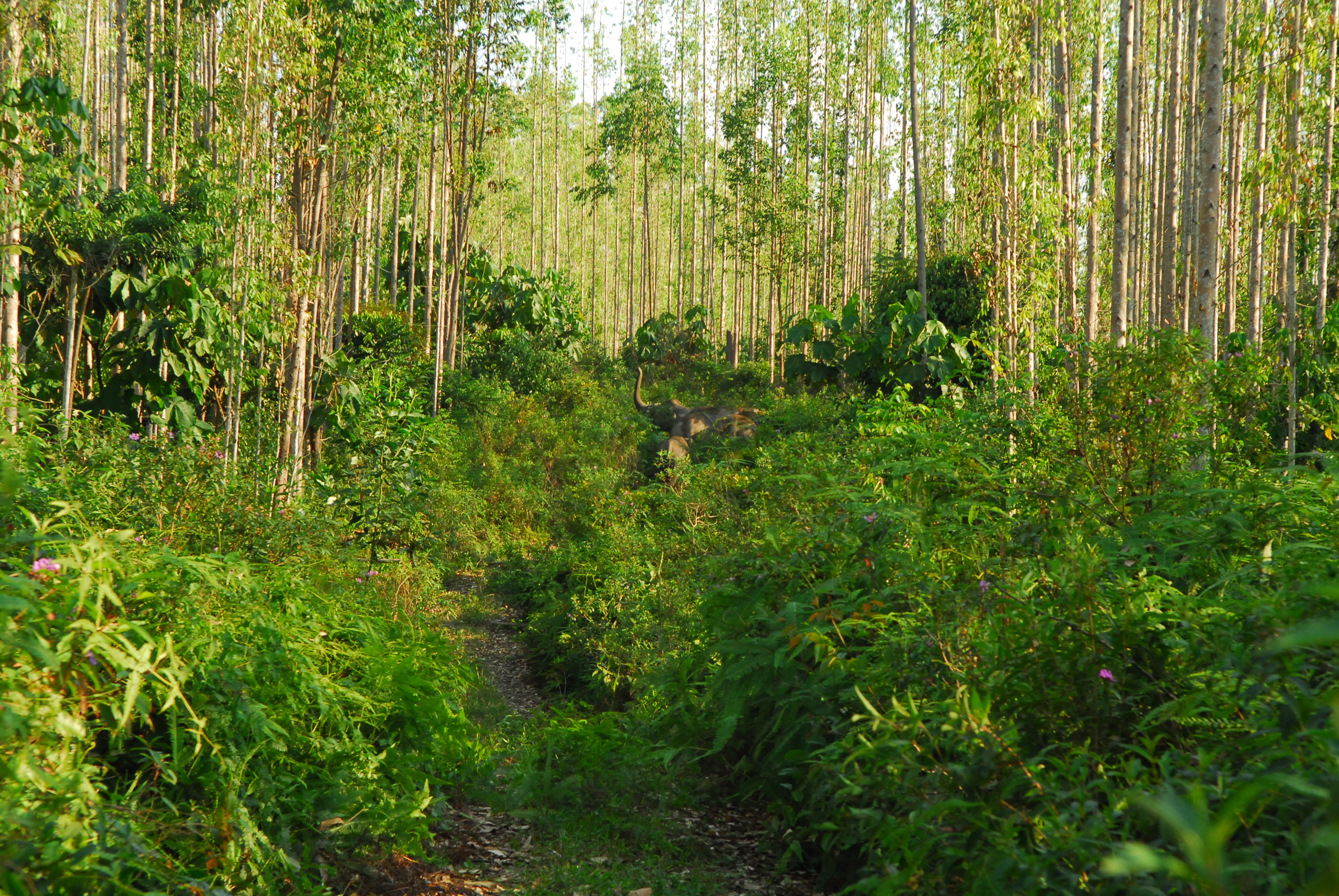 Coexistence Challenges For Humankind As Nature Declines 1