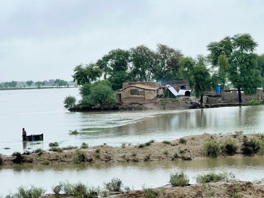 Urgent Support Needed As 30 Million Affected By Pakistan’S Monsoon Rains And Floods 5