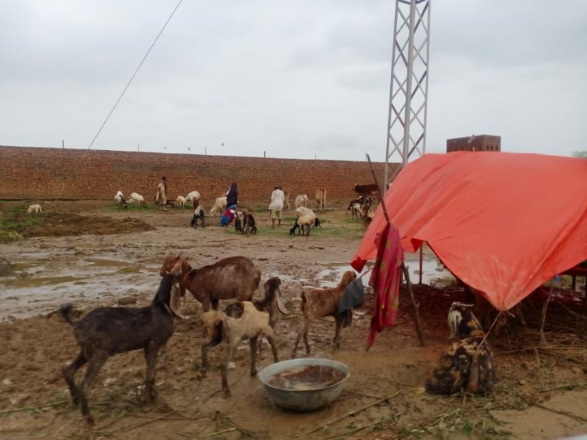 Urgent Support Needed As 30 Million Affected By Pakistan’S Monsoon Rains And Floods 6