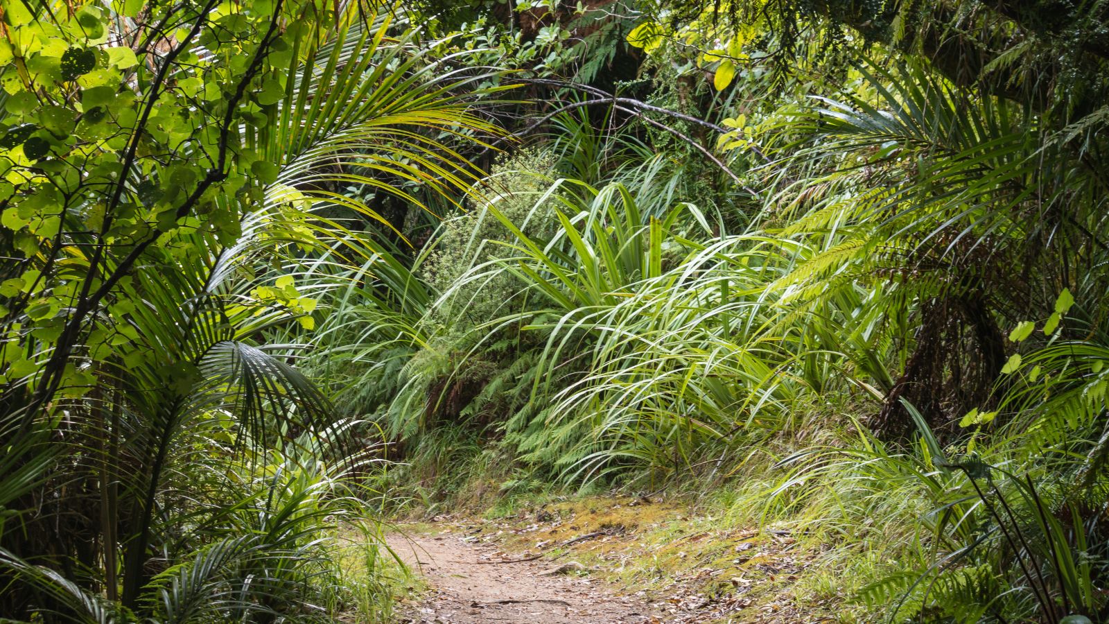 Coexistence And The 2050 Vision Of ‘Living In Harmony With Nature’