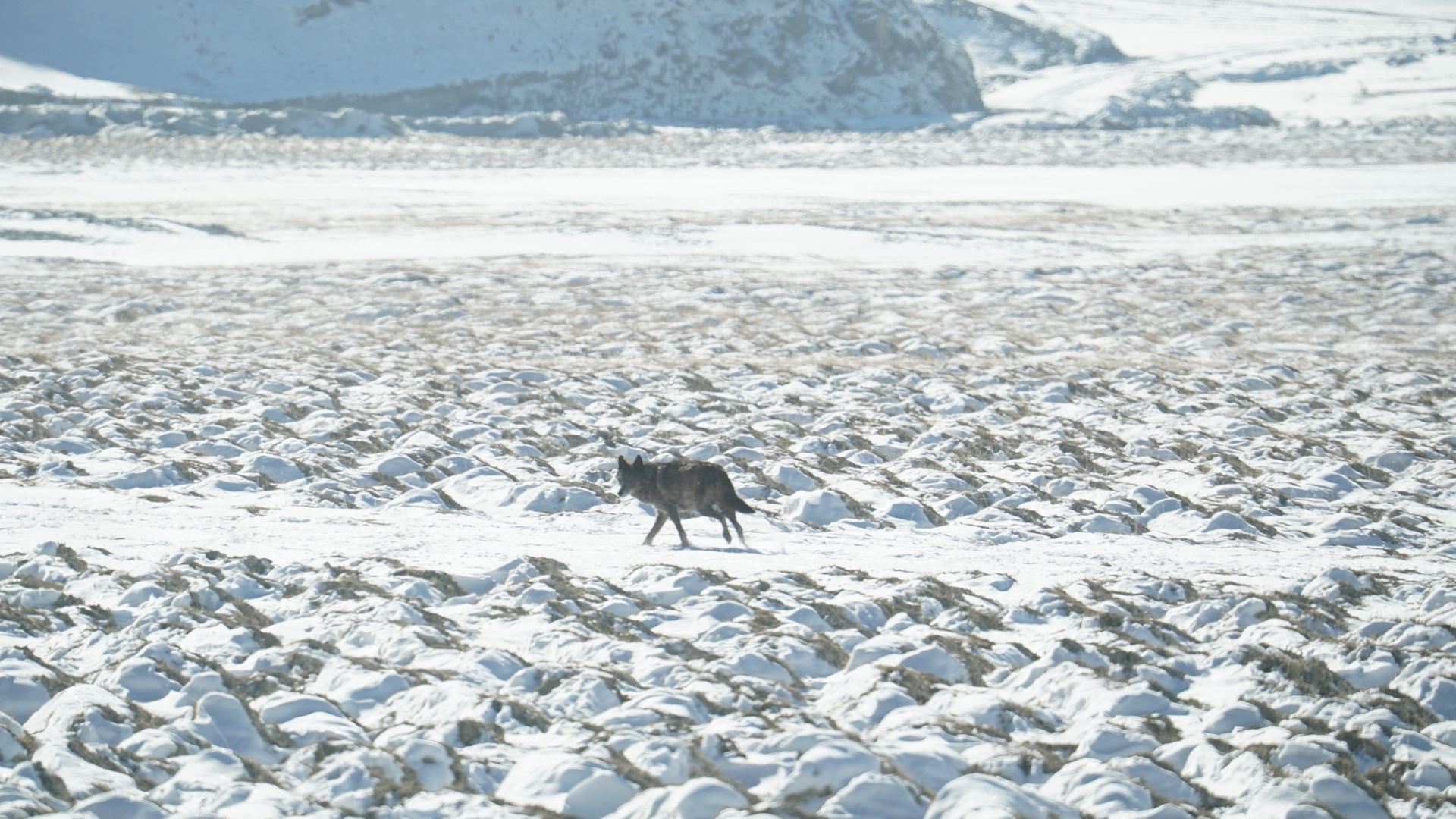 Microsoftteams Image