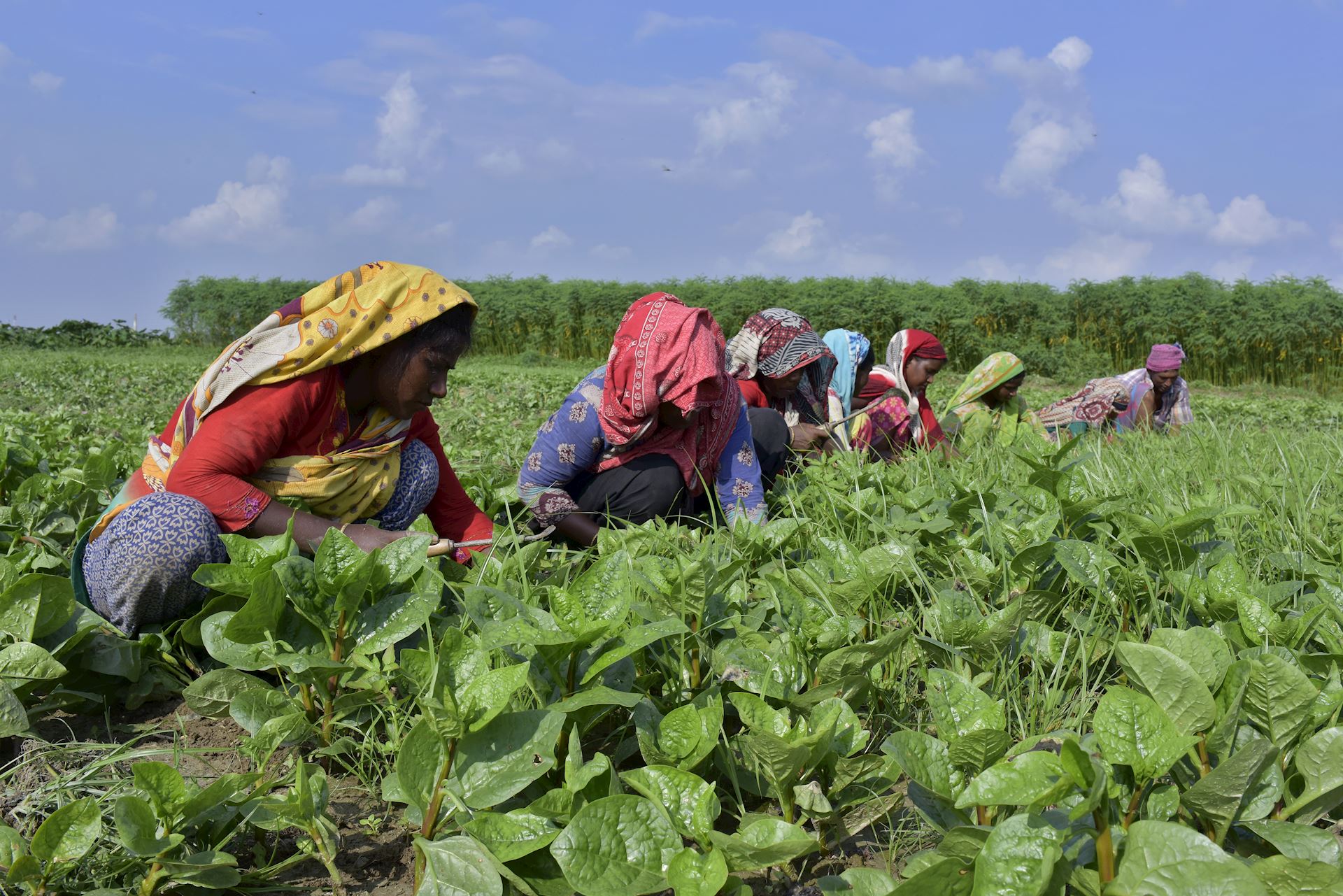 Climate innovation fund 10