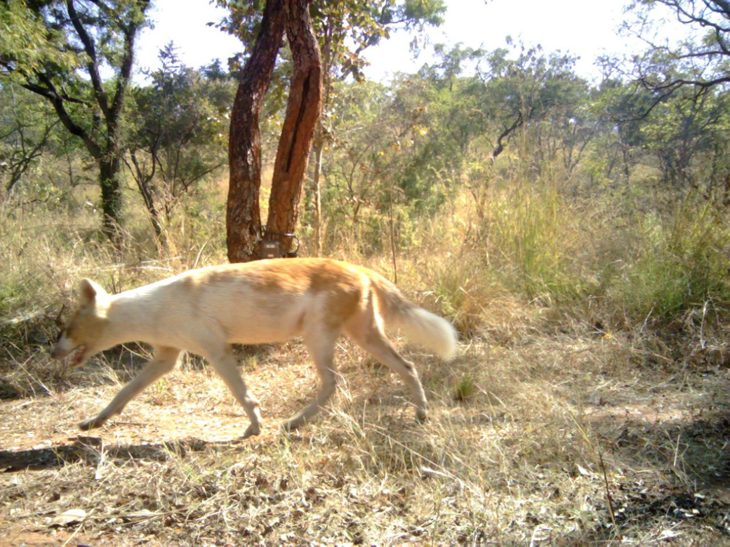 Microsoftteams Image (36)