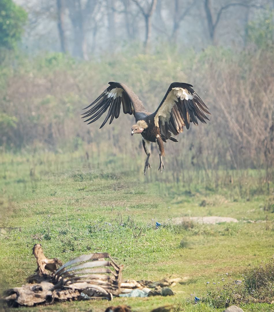 Microsoftteams Image (37)