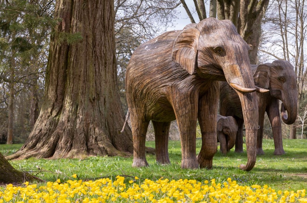 Coexistence Newsletter Photo