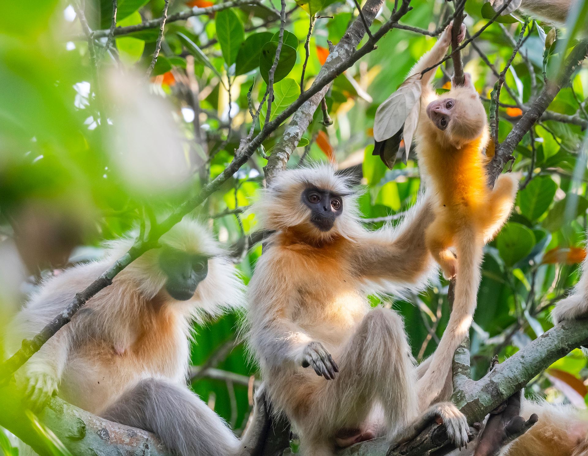 Shutterstock 2289676697 (1)