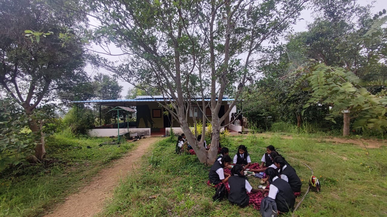 PHOTO 2022 12 01 13 18 00 2