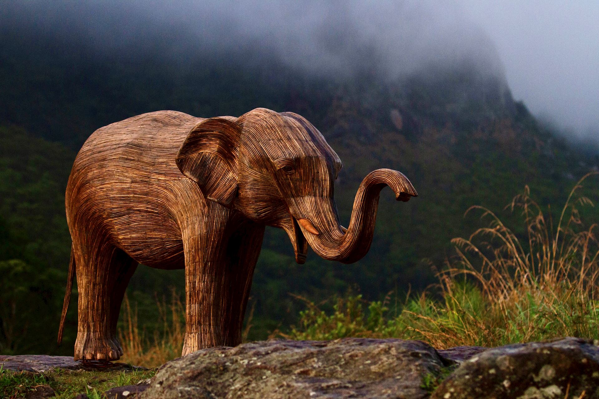 Nilgiri Elephant In The Mist