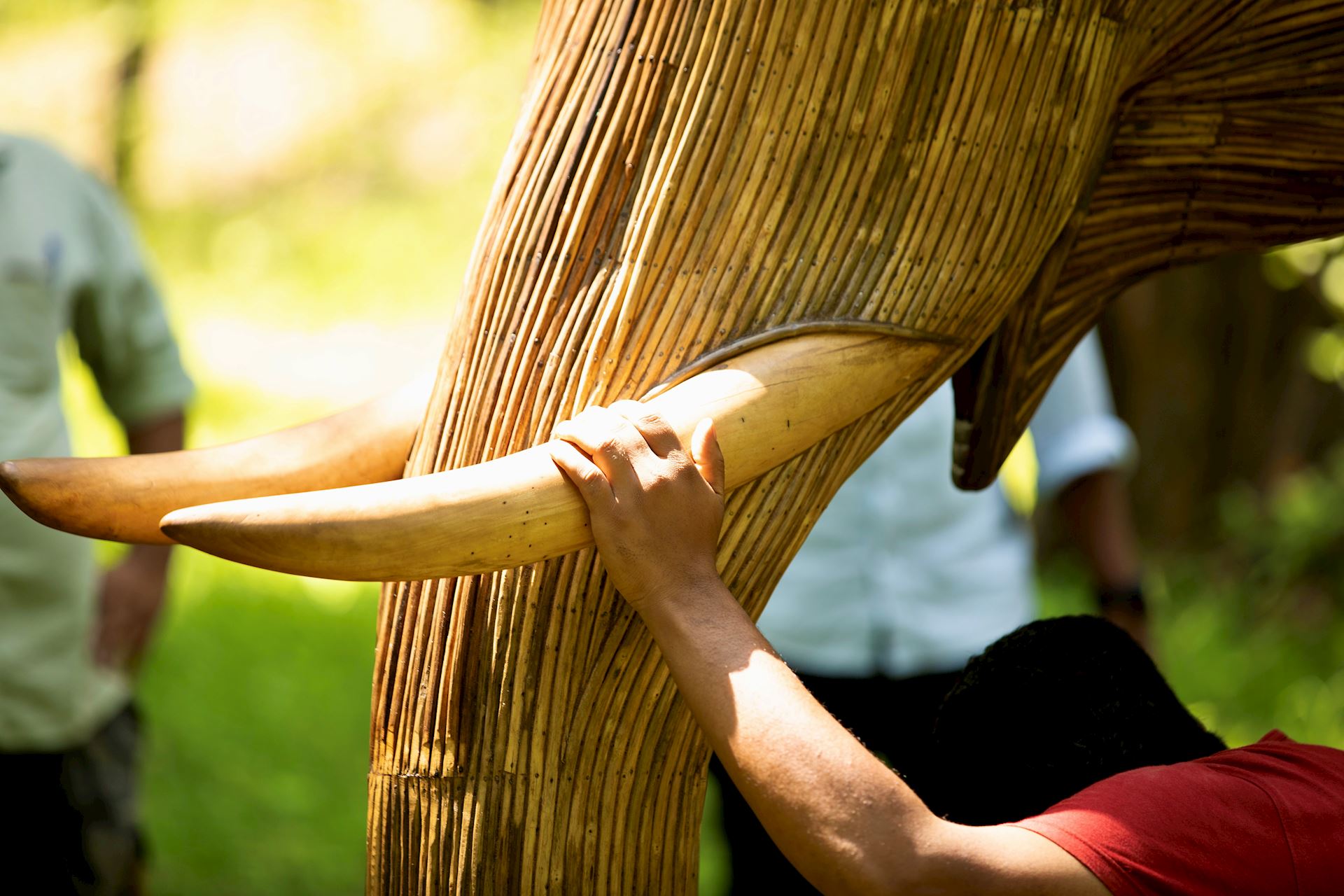 Anatomically Perfect Replicas Of The Real Wild Elephants In The Nilgiri Biosphere Reserve