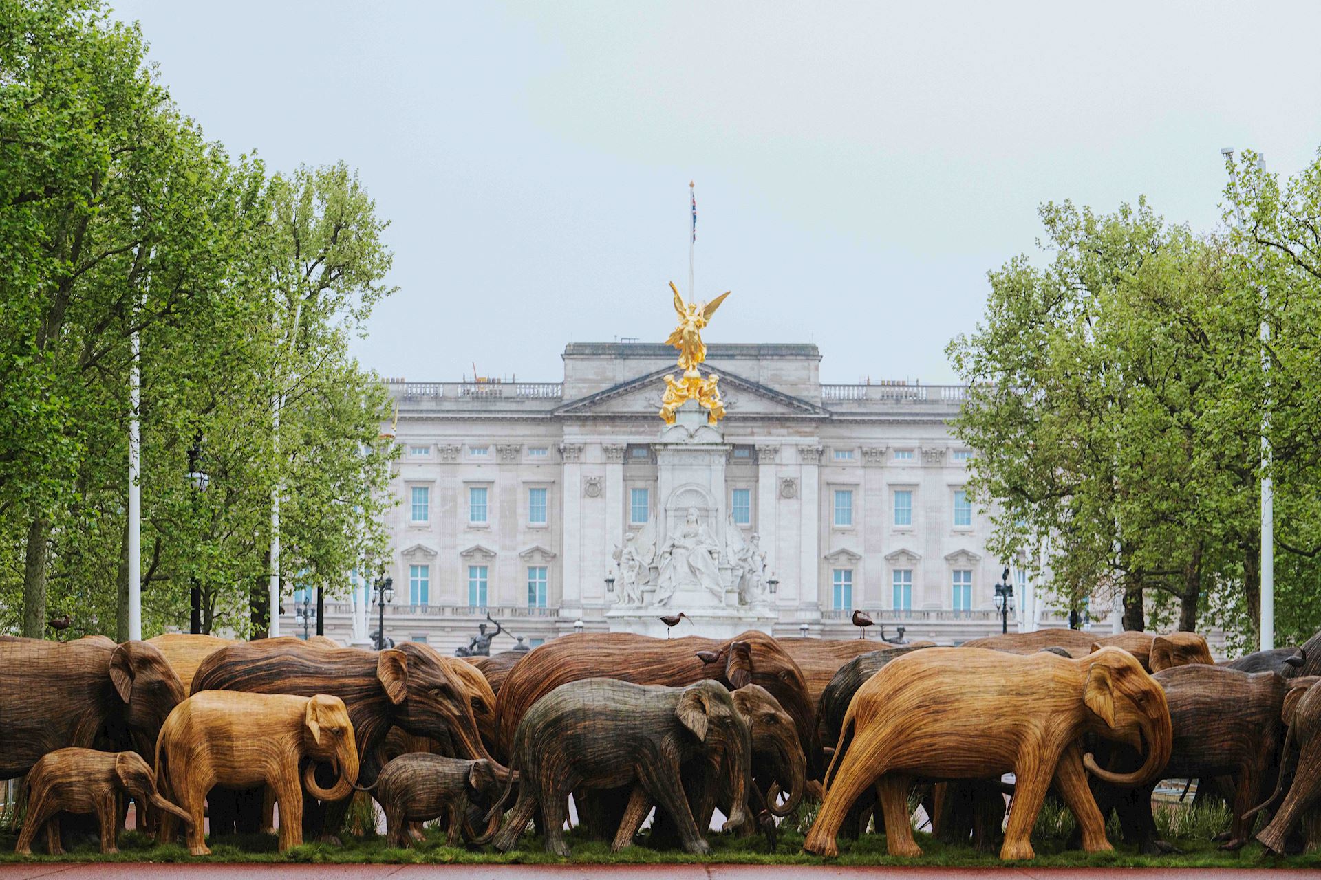 Coexistence Campaign, London 2021, The Mall Buckingham Palace Grant Walker 1