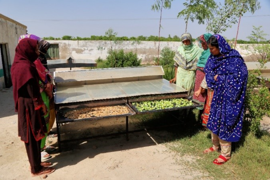 Screenshot 2024 08 05 095600