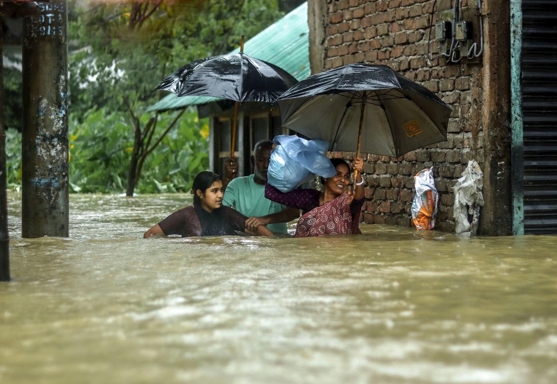 Shutterstock 2516862953 (1)